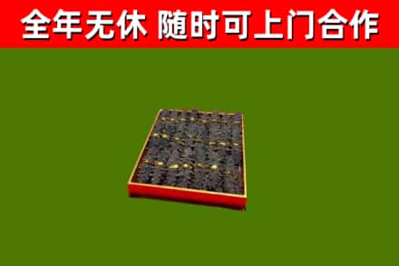 东风区回收海参